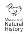 History of the Museum | Pitt Rivers Museum