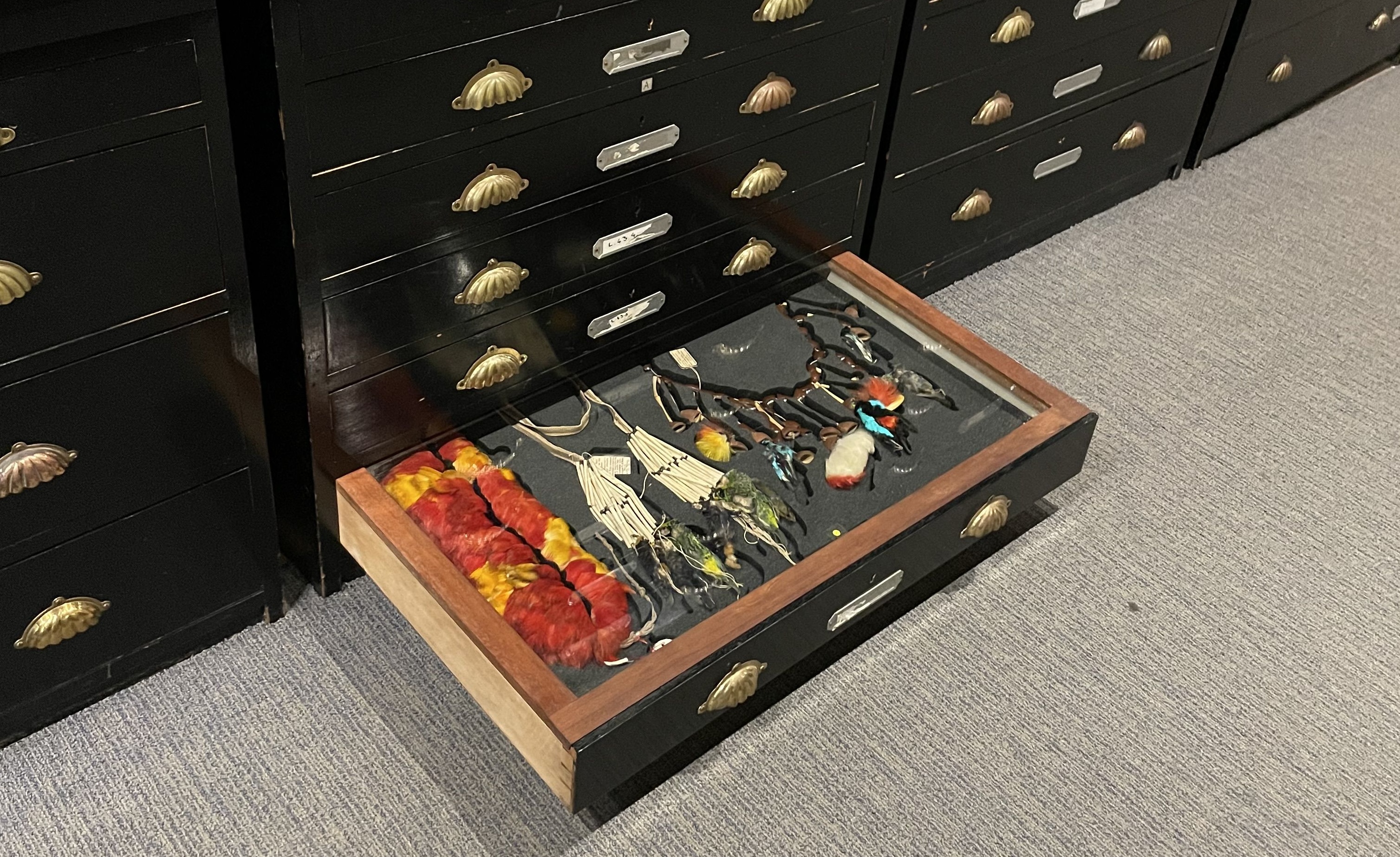 Rows of museum drawers with one lower drawer open revealing colourful featherwork items on display in bespoke foam mounts.