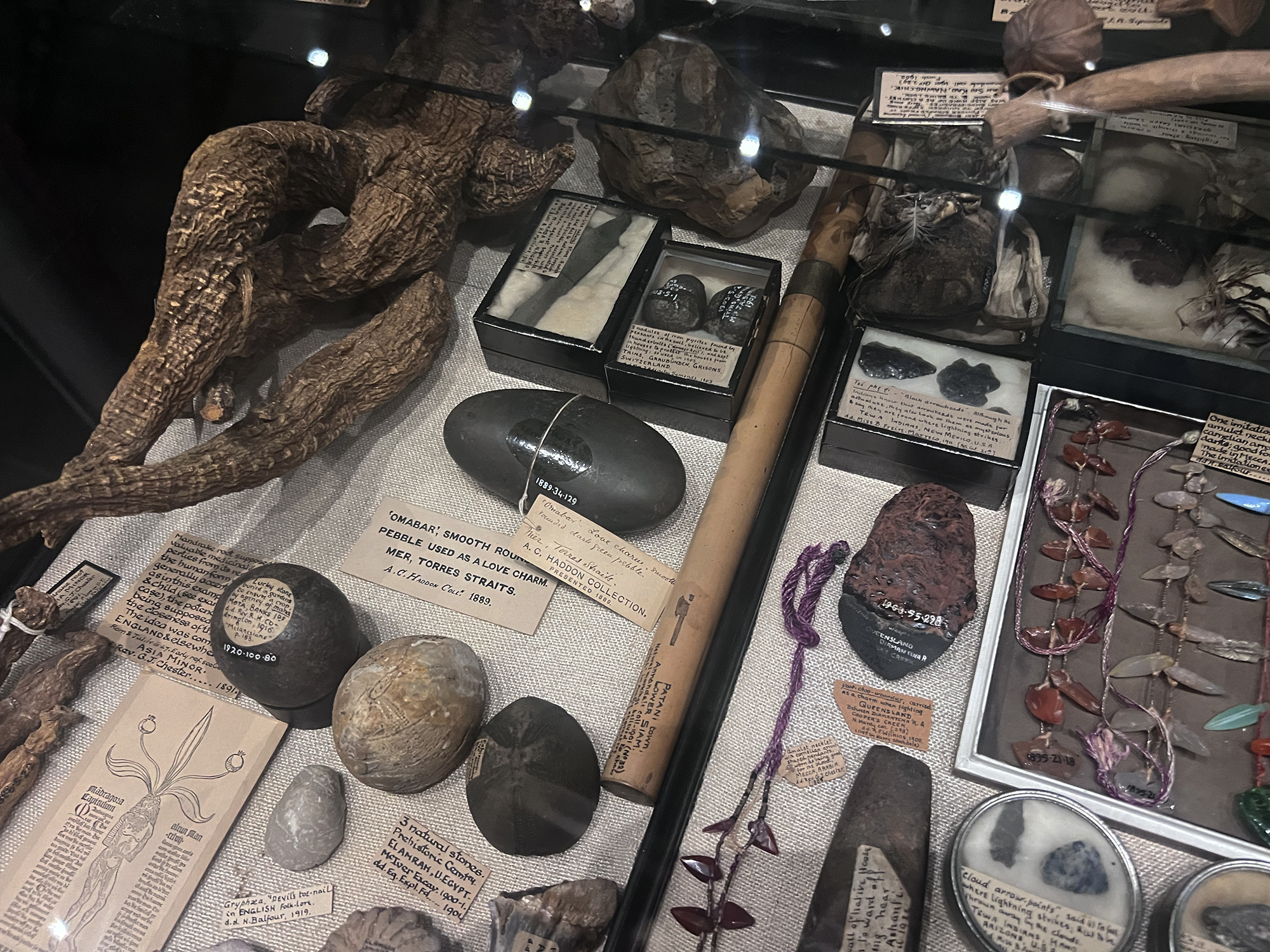 View of a display case containing stones and sticks