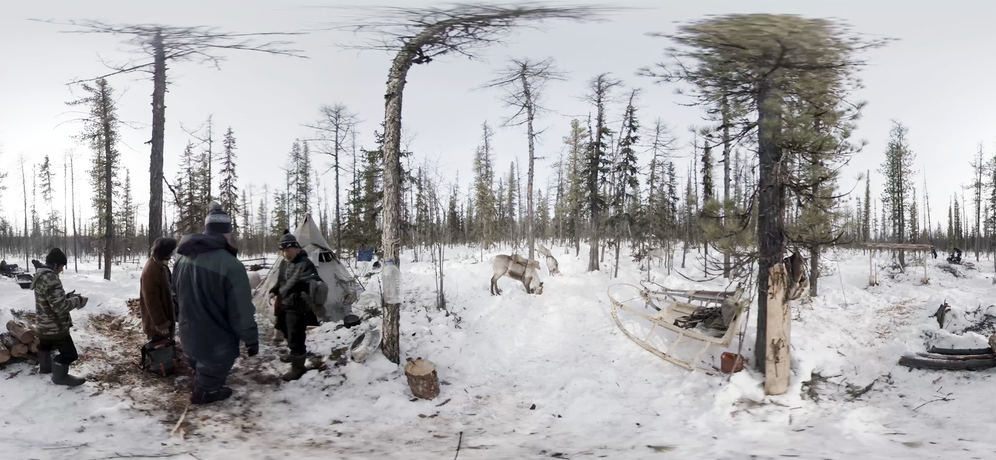 A group of people stand near reindeer and a sleigh surrounded by trees.