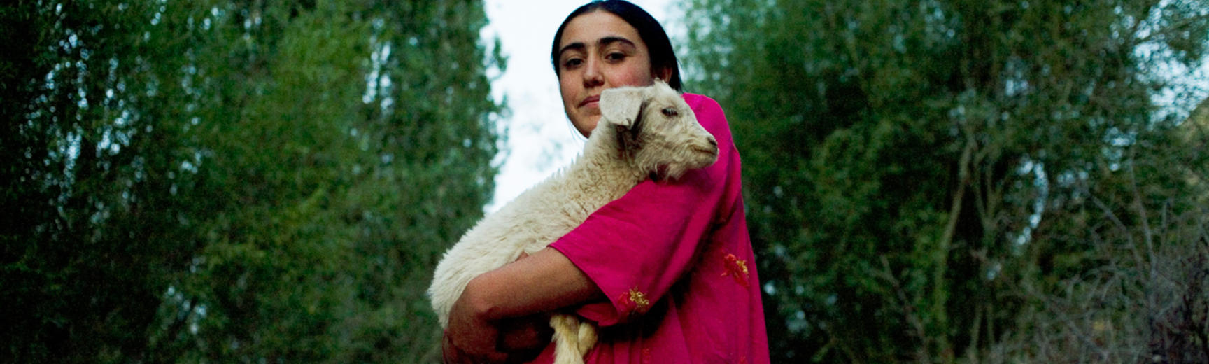 A Pamiri woman carrying home a lamb at dusk. Garm Chashma, Tajikistan. Photograph by Carolyn Drake. July 2008.