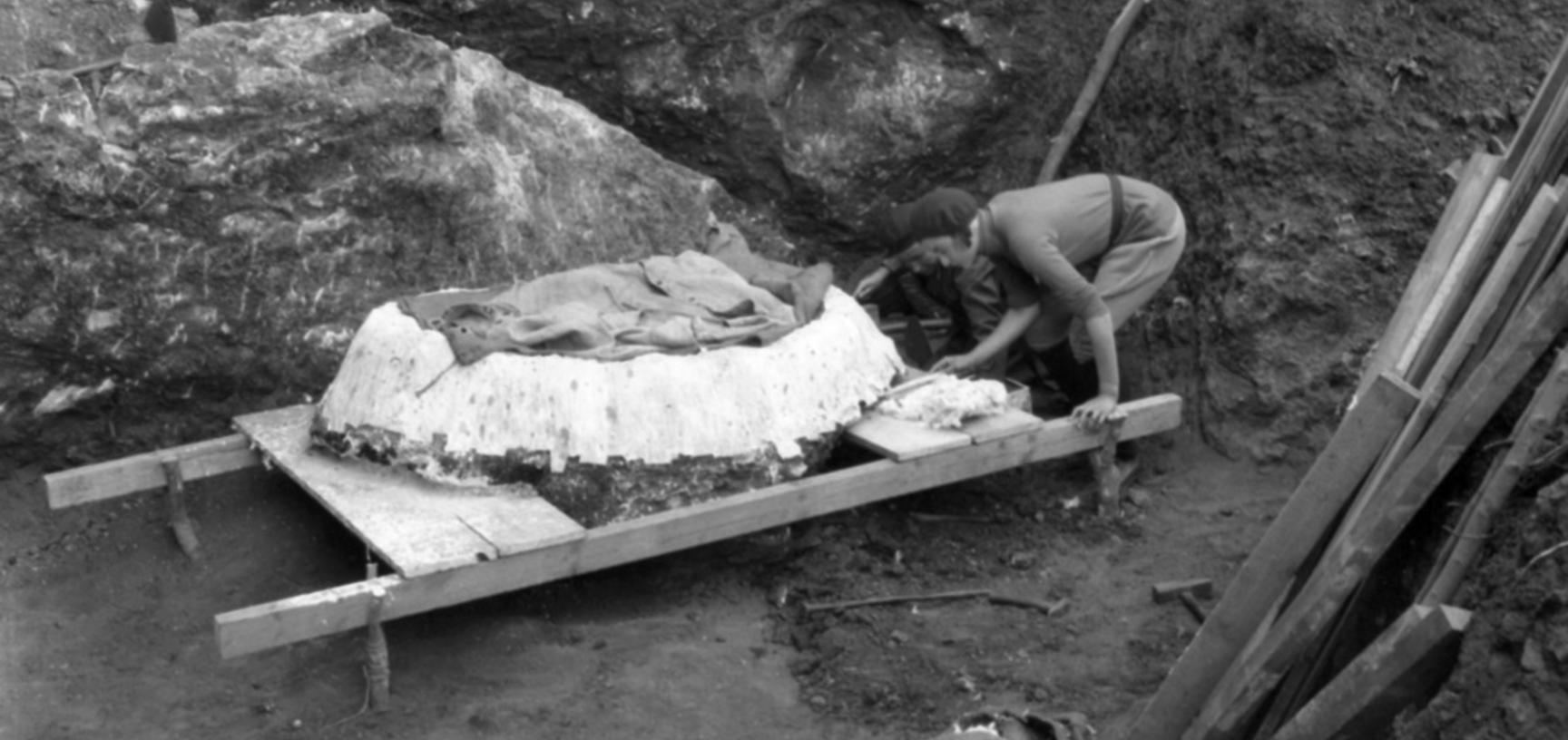 This photograph shows the famous Tabun Neanderthal skeleton being prepared for removal from the site for further study. 1932. (Copyright Pitt Rivers Museum, University of Oxford. Accession Number: 1998.294.344)