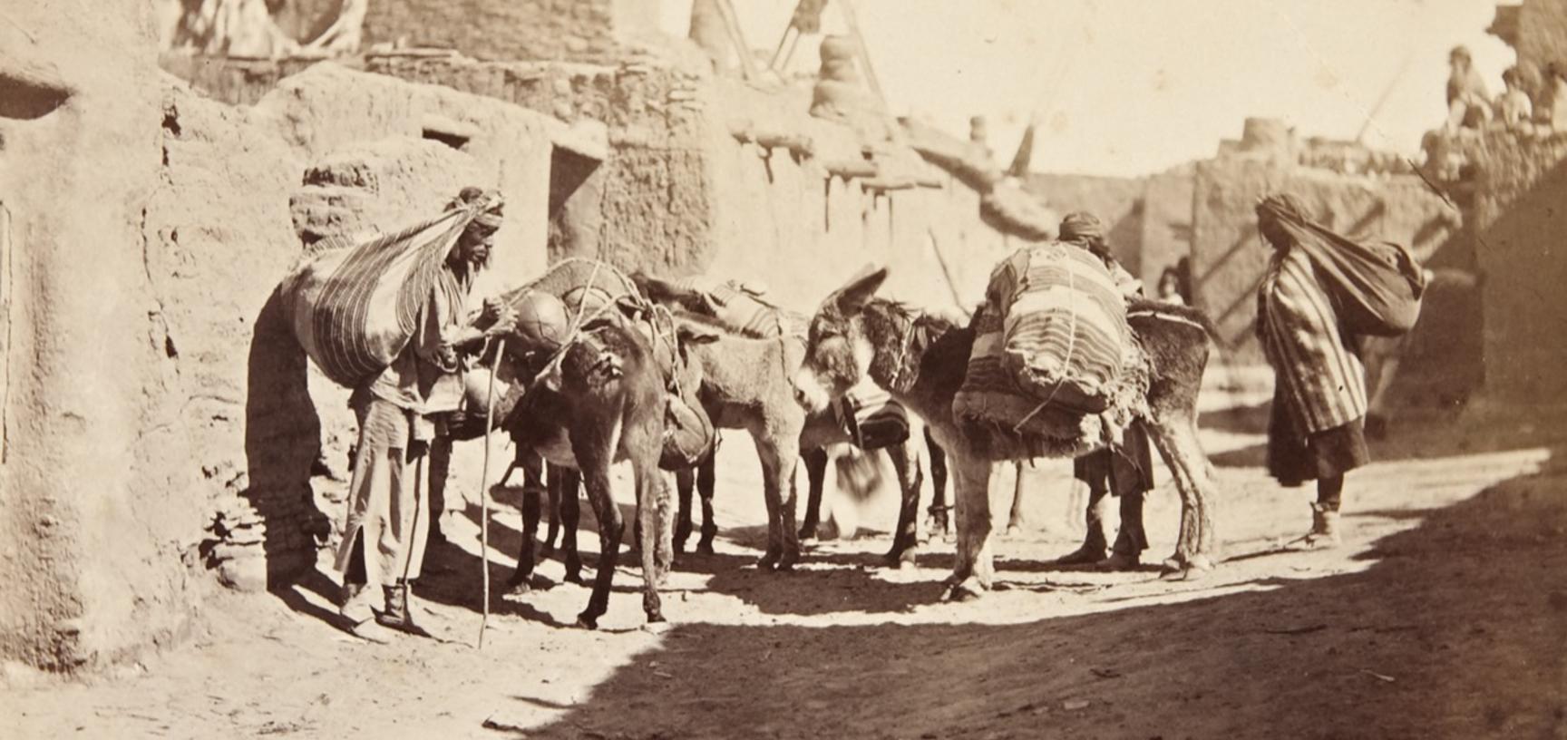 Zuni people with pack animals. Of this photograph James Stevenson noted that both men and women ‘carry almost as large and heavy loads as the donkey'.