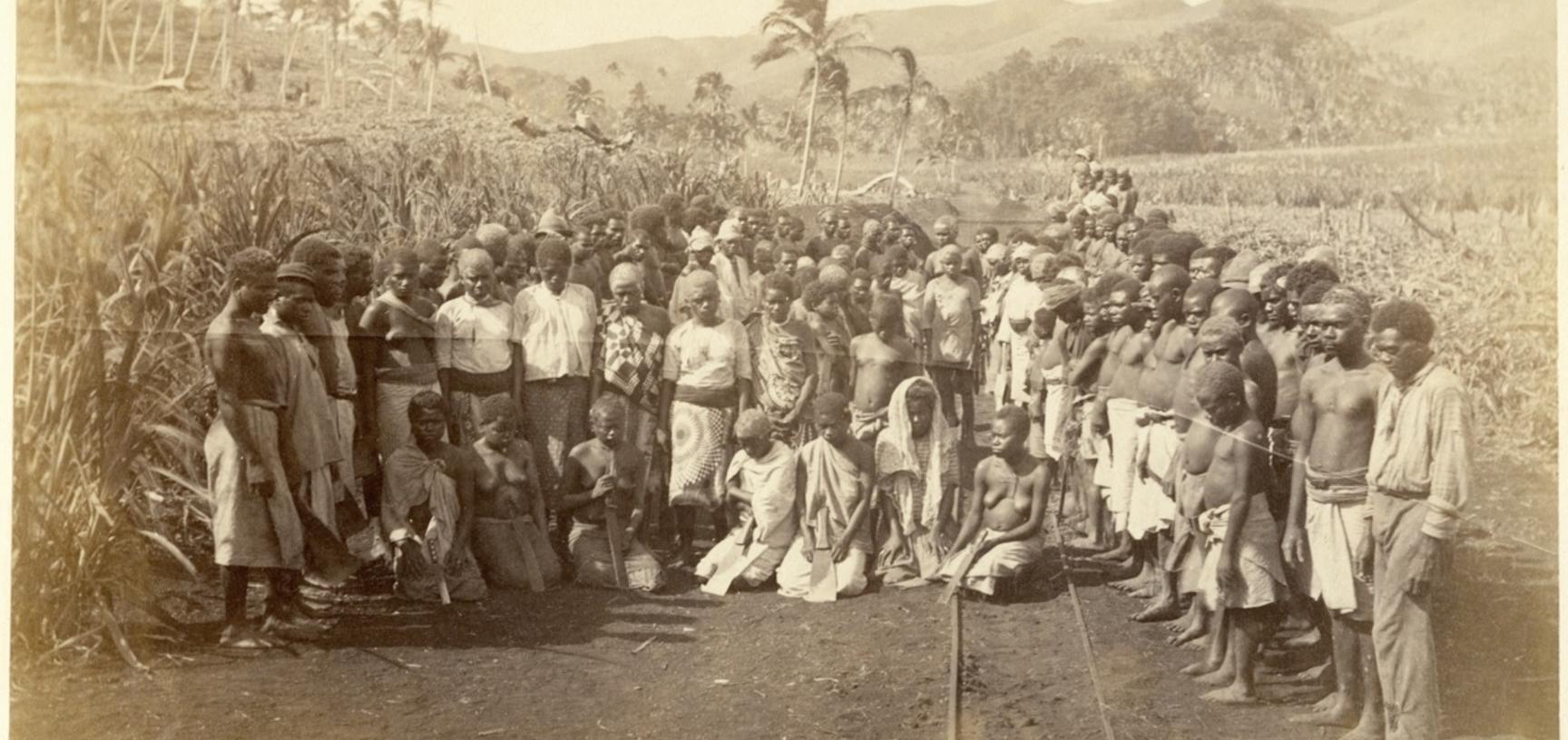 ‘Muster of “labour”’, a group portrait of agricultural workers employed in the sugar cane plantations on Viti Levu. Photograph by Alfred Burton for the Burton Brothers studio (Dunedin). Mango, Viti Levu, Fiji. 16 July 1884.