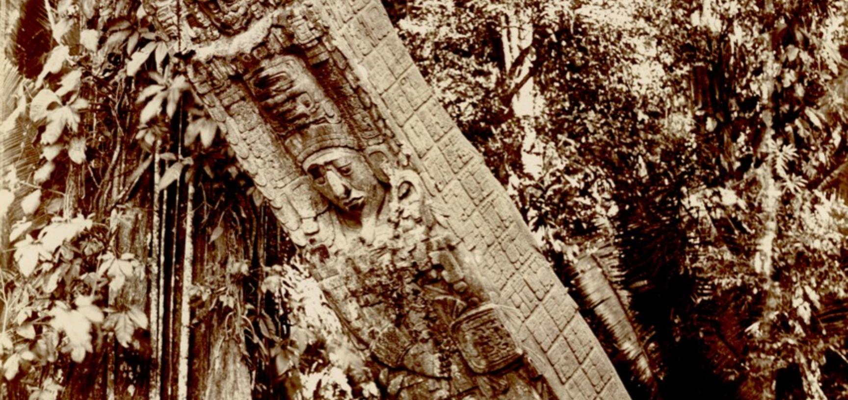 The ruins at Quirigua have been photographed many times since Alfred Maudslay’s pioneering work in the late nineteenth century, notably by several American archaeological expeditions which took place during the course of the last century, as well as by a 