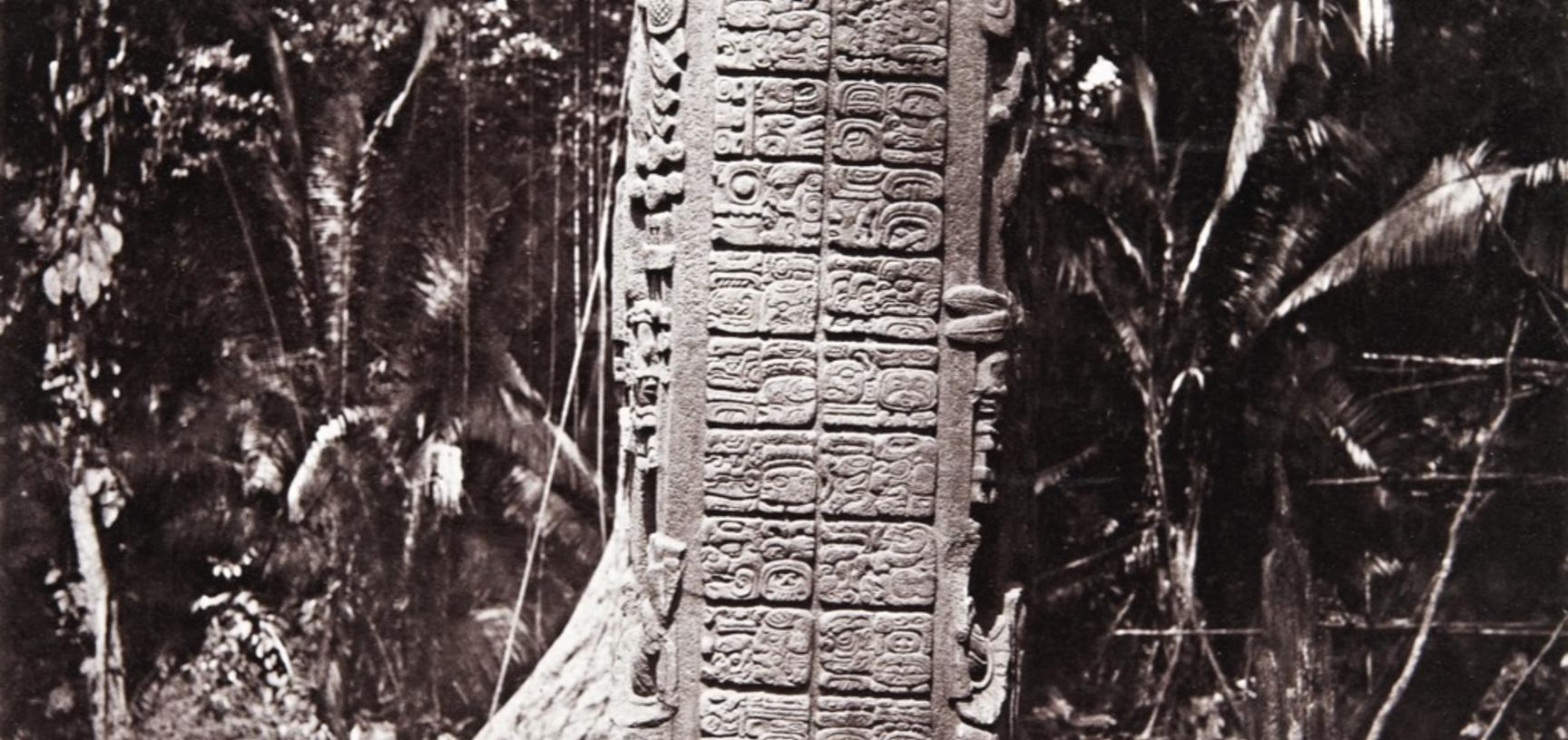 Stela F (also known as Monument 6), east side, dated AD 761. ‘This is the most graceful and most elaborately decorated of all the Quirigua stelae’, Alfred Maudslay wrote of Stela F. ‘The graceful arrangement of the feather-work on the upper part of this m