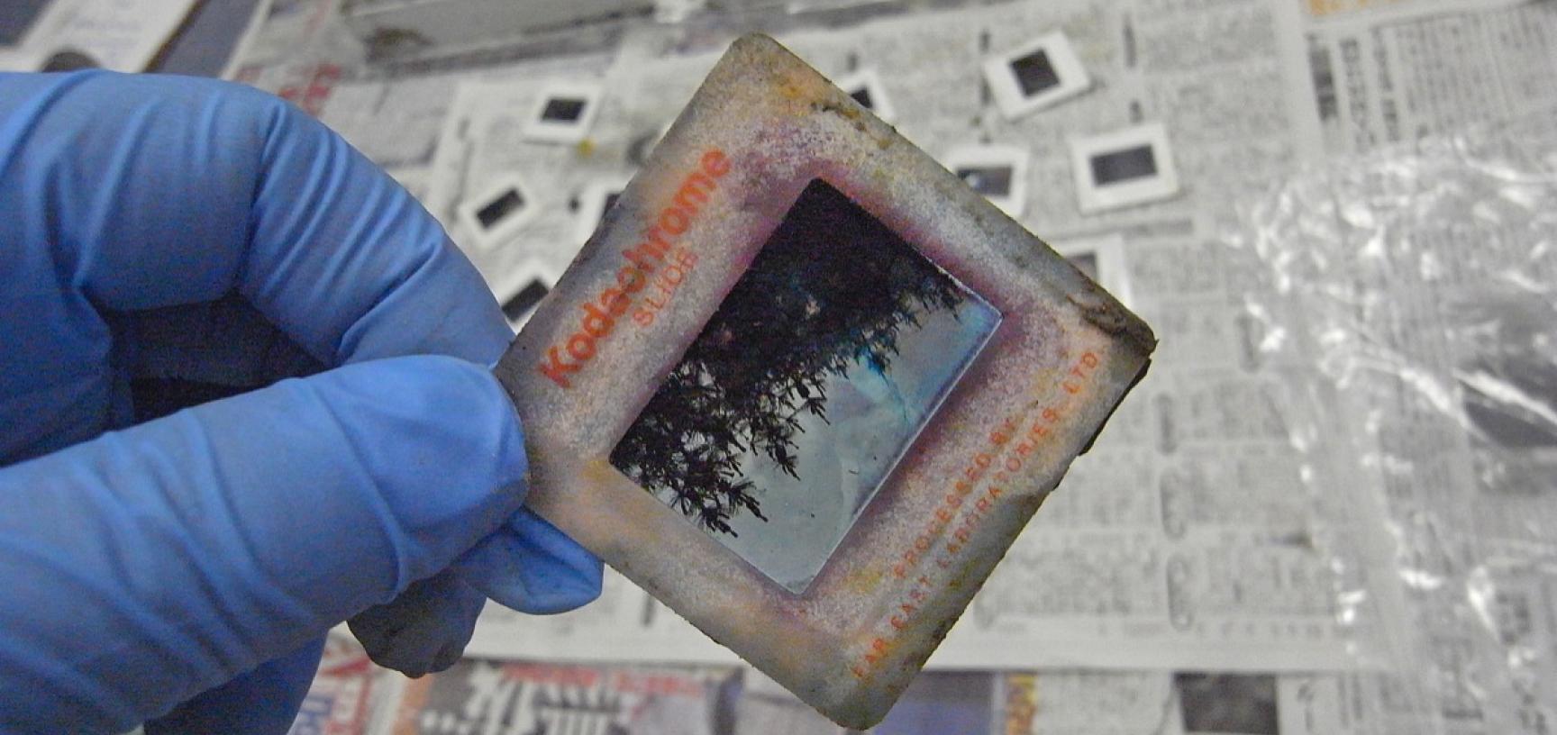 A 35 mm slide salvaged after the tsunami, still wet from being exposed to the water. (Copyright RD3 Project/Rikuzentakata City Museum)