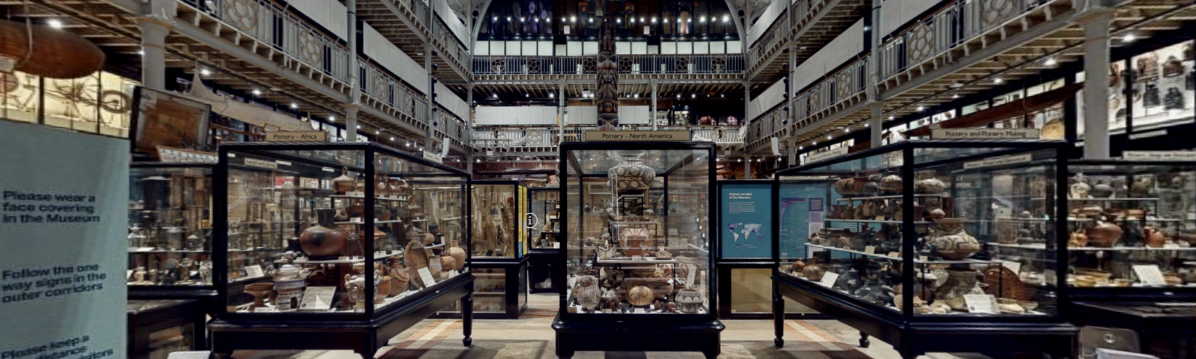 Steps lead down into a darkened room filled with nineteenth-century museum display cases full of lots of different objects