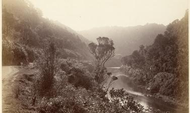 View of the Manawatu Gorge. Photograph by Alfred Burton for the Burton Brothers studio (Dunedin). Manawatu River, North Island, New Zealand. Circa 1885.