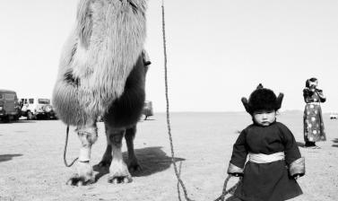 Black and white photograph of a young child holding a camel