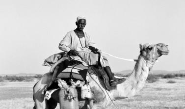 Kababish tribesman. Sudan. Photograph by Roger Chapman. 2014. (Copyright Roger Chapman)