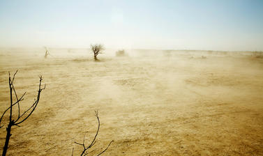 Desert and dust storms have spread over former wetlands near the Aral Sea, which has been reduced to a quarter of its previous size. Near Muynaq, Uzbekistan. Photograph by Carolyn Drake. March 2008.