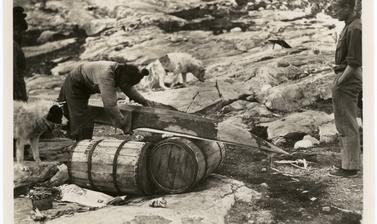 One of the various stages in the construction of a kayak by Inuit, here showing the sewing of a taut sealskin cover. Photographer unknown. Greenland. 1930–1931.