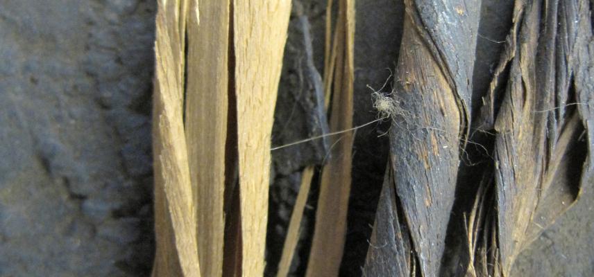 Detail of willow shaving layers (inau) on quiver (1910.68.12)