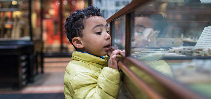 pitt rivers by ian wallman 9634