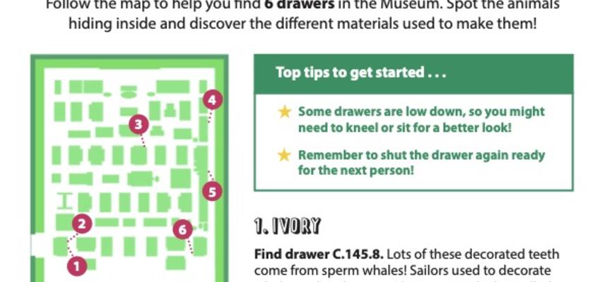 What's in our Drawers