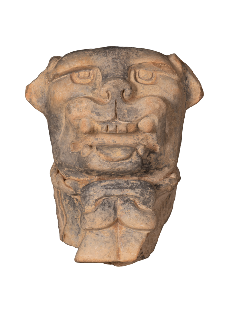 Pottery head with a dog-like nose, sharp teeth bared in an open mouth and ears folded back