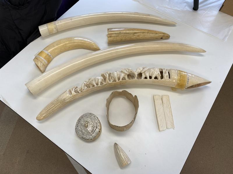 Ivory objects on a table