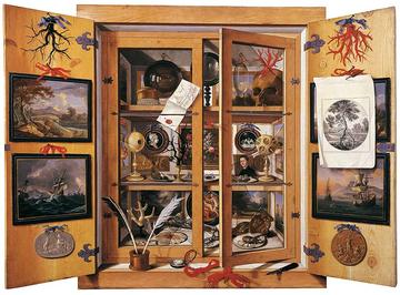 domenico remps  cabinet of curiosities