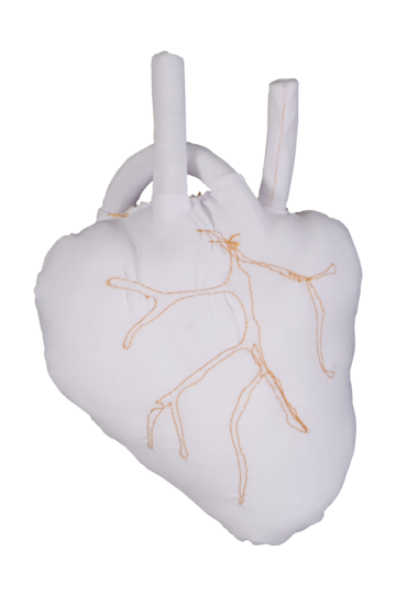 A human heart made from cream cotton fabric with gold stitching in vein-like pattern